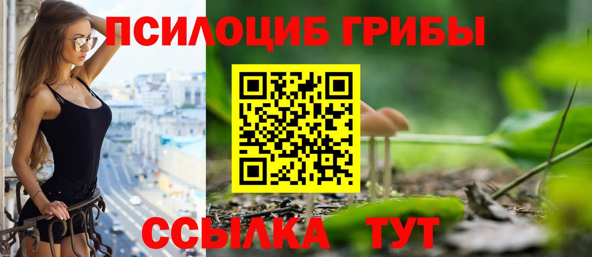 Псилоцибиновые грибы Magic Shrooms Майкоп